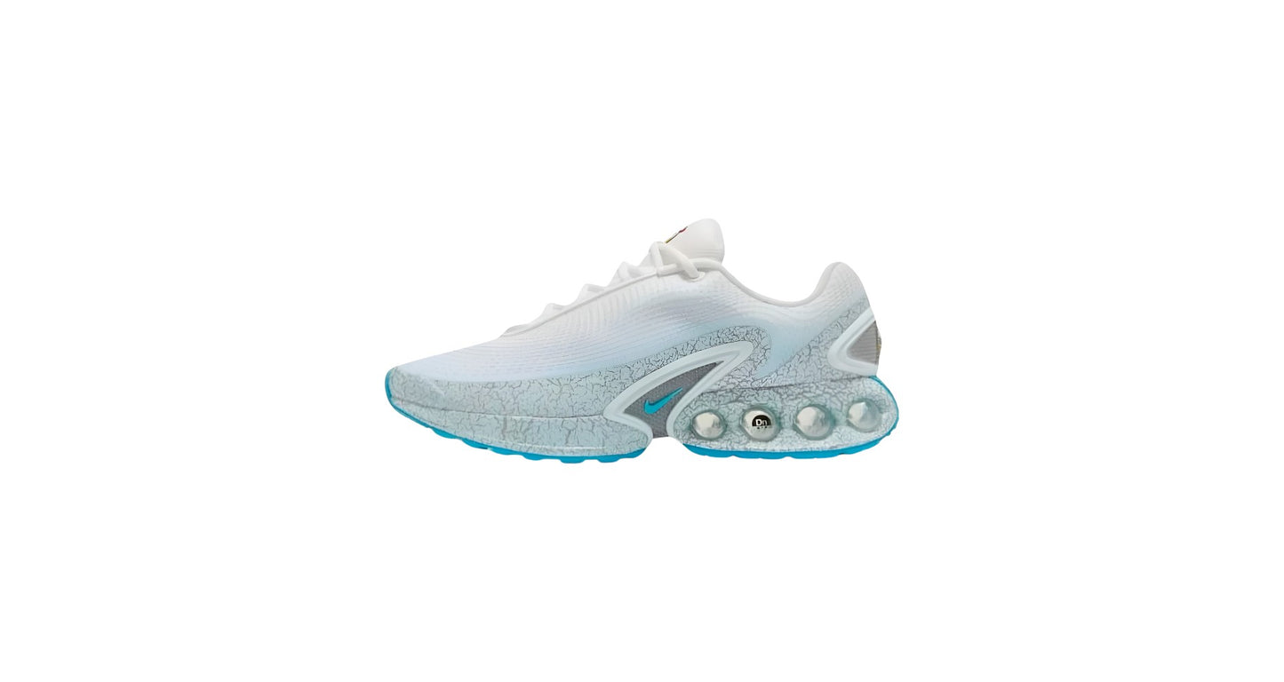 Nike Air Max DN Premium