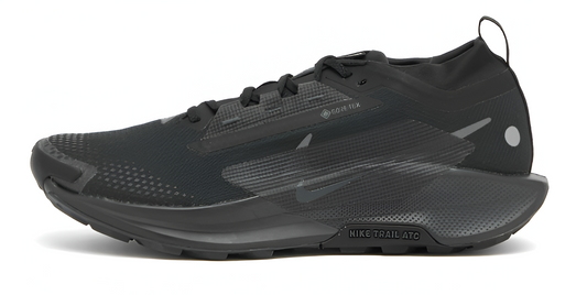 Nike Running Pegasus Trail 5 GORE-TEX