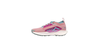 Nike Pegasus Trail 5 Goretex
