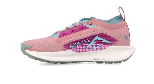 Nike Pegasus Trail 5 Goretex