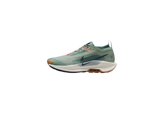Nike Pegasus Trail 5 GORE-TEX
